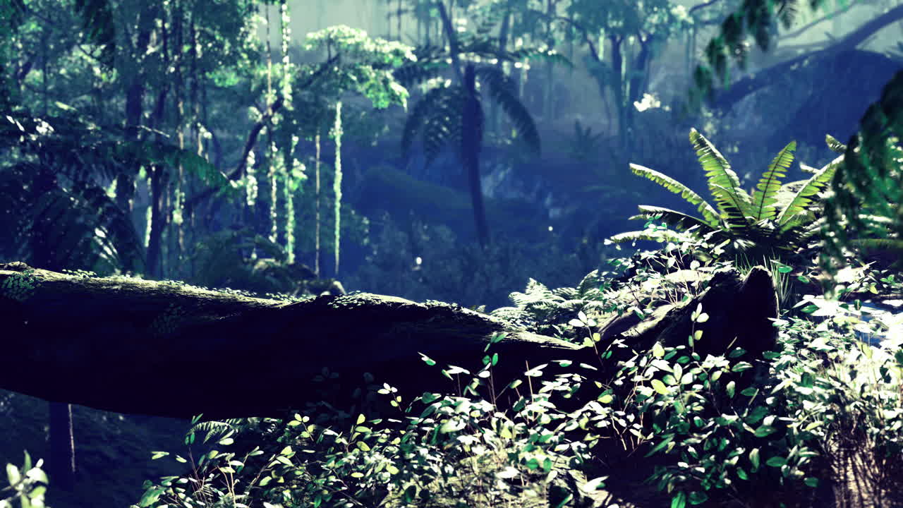 Sunny forest with greenery and light filtering through the canopy