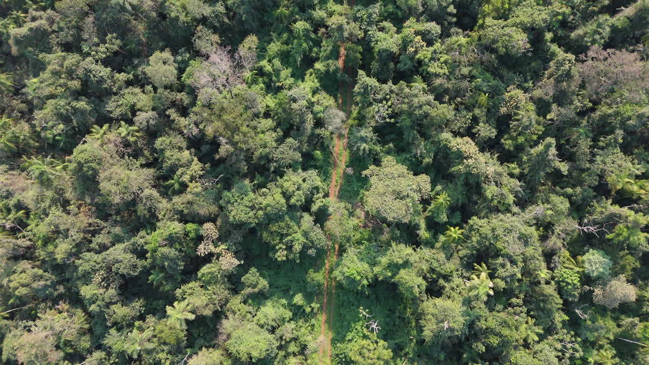 Human footprint in nature, Drone shot of small road disrupting Amazon ecosystem