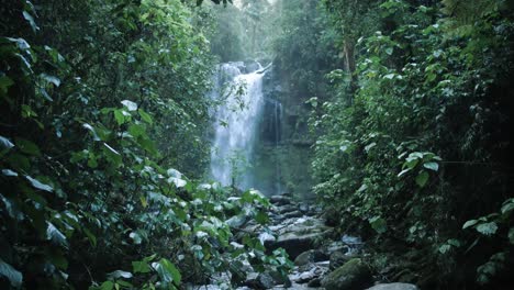 reveal of a waterfall in a rainforest