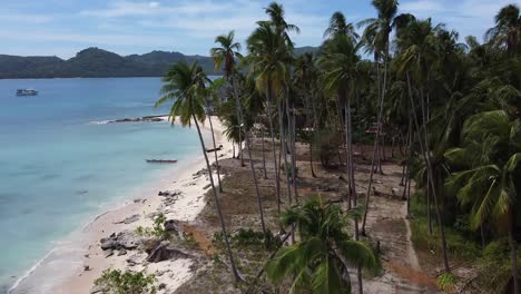 Drone-footage-dollys-forward,-through-lush-palm-trees-leaves-to-look-down-from-above,-offering-a-captivating-aerial-perspective