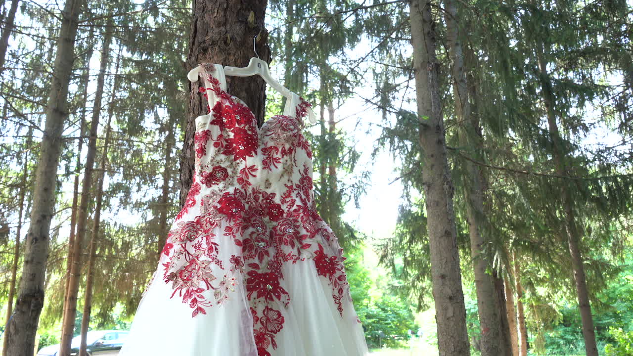 vestido rojo y blanco mexicano de quinceañera colgando de un árbol afuera