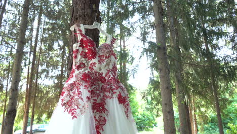 Vestido-Rojo-Y-Blanco-Mexicano-De-Quinceañera-Colgando-De-Un-árbol-Afuera