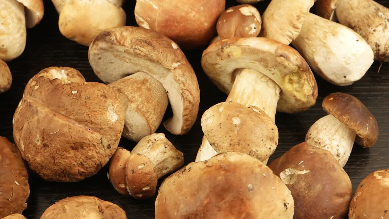 los hongos porcini están en la mesa.