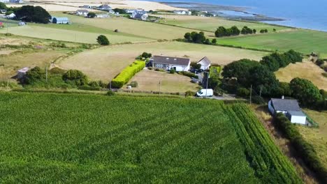 Una-Toma-Aérea-De-Un-Raro-Cultivo-De-Maíz-Que-Crece-Cerca-De-Carlingford-Irlanda