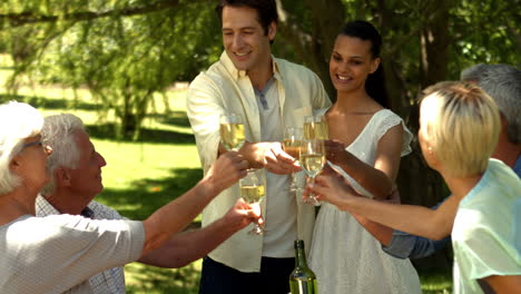 romantic couple toasting with family in park