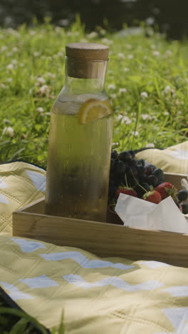picnic with lemonade, grapes, and strawberries
