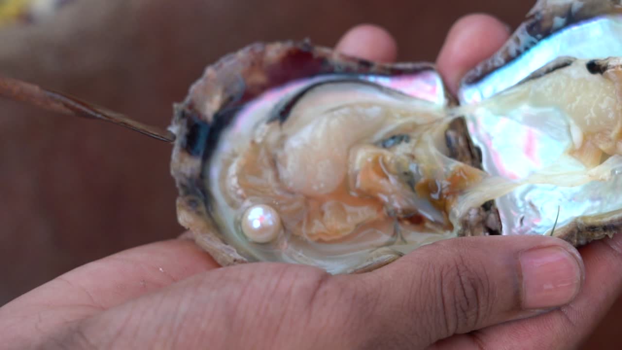 ajman 아랍 에미레이트에서 진주의 클로즈업 샷