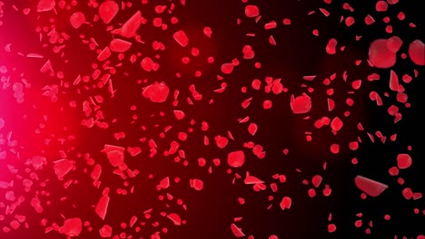 realistic abstract rose falling motion loop background green screen.