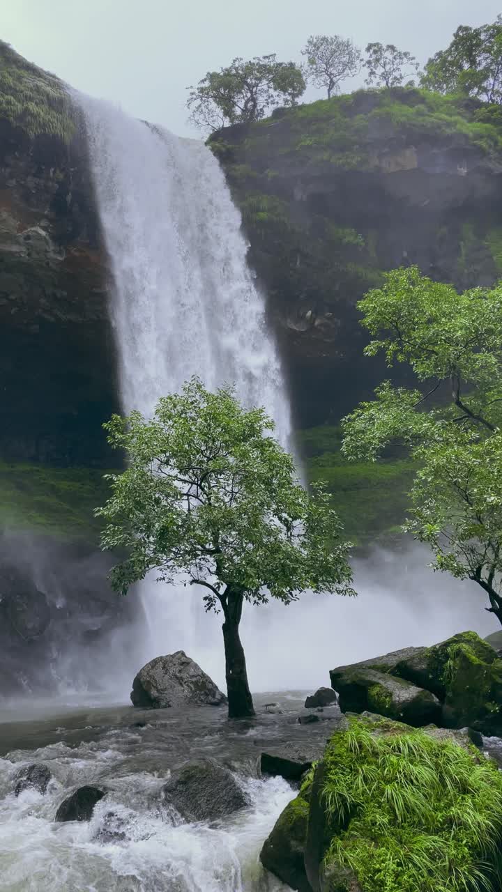 Air Terjun Vasundhara di Bhandardara, Maharashtra, India, mengalir anggun di tengah hutan hijau yang rimbun, menawarkan tempat peristirahatan yang tenang dan indah
