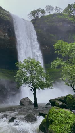 vasundhara falls in bhandardara, maharashtra, india, cascades gracefully amid a lush green forest, offering a serene and picturesque retreat