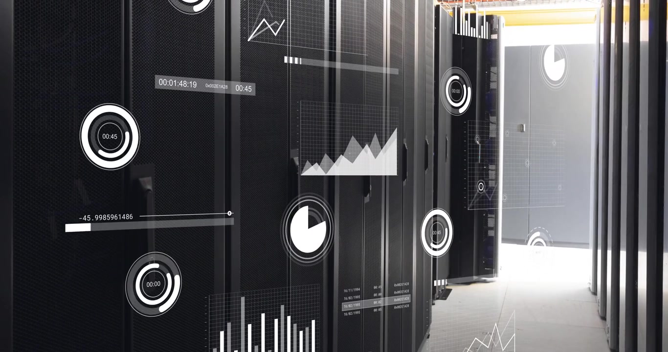 Animation of data processing over computer servers