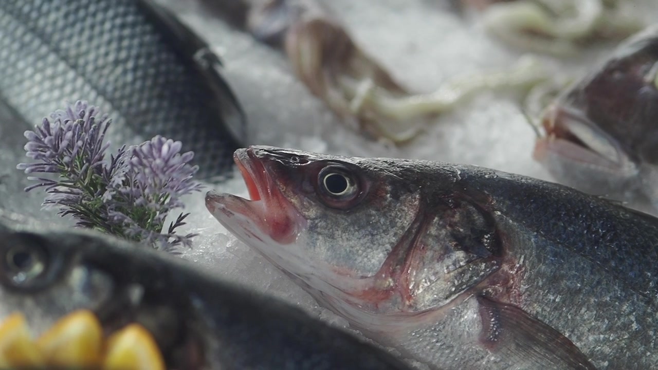 Frisk havbars udstillet på is på et fiskemarked
