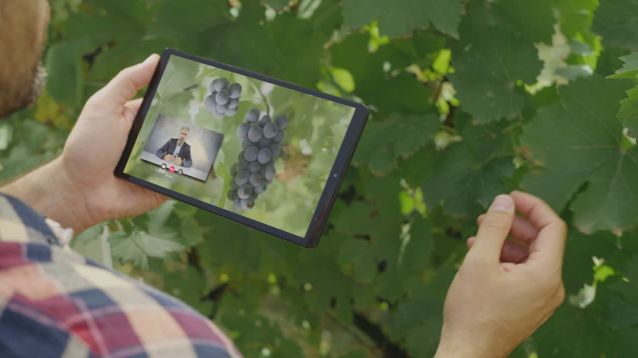 Farmer using tablet for video consultation about grapevine