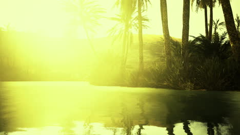 sunlight reflecting off tranquil waters surrounded by lush palm trees