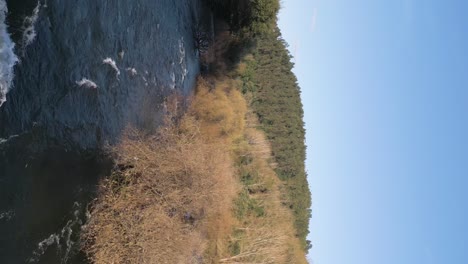 flujo dinámico del río entre orillas exuberantes - video vertical aéreo