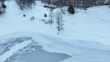 parallax rotation around a man walking his dog before a winter flurry