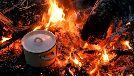 food is cooked on the bonfire in a pot.