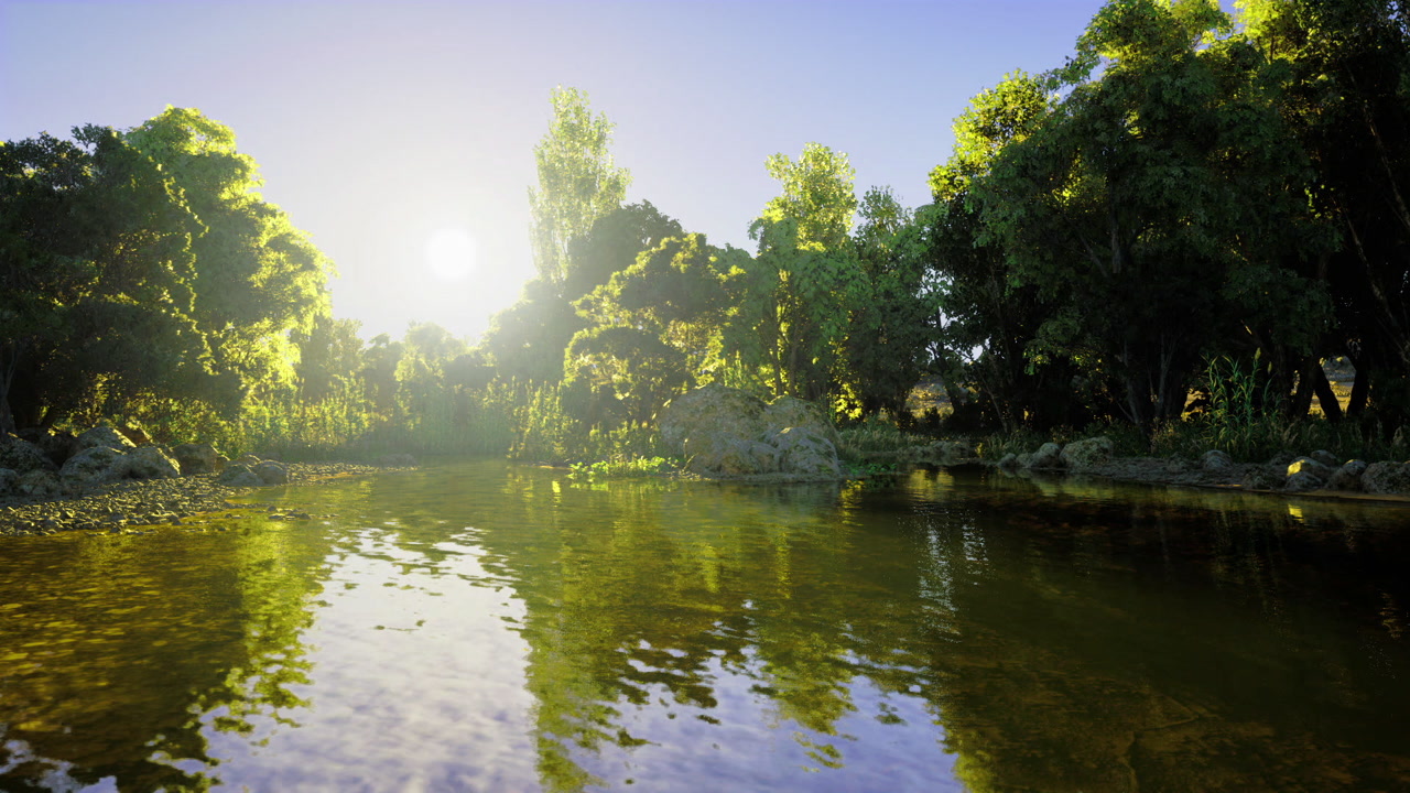 Calm riverside with shimmering reflections and vibrant plant life