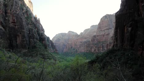 water falling down in front of view from weeping rock in zion national park, utah