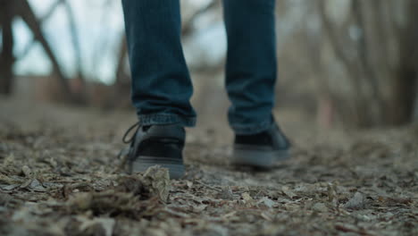 close-up of a person's feet in black sneakers walking on a leaf-covered forest path