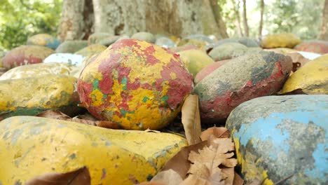 painted rocks in a park