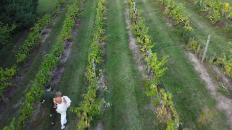 novia y novio corriendo a través de un viñedo