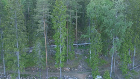 aerial pan across alpine coaster go kart metal track in mountain forest