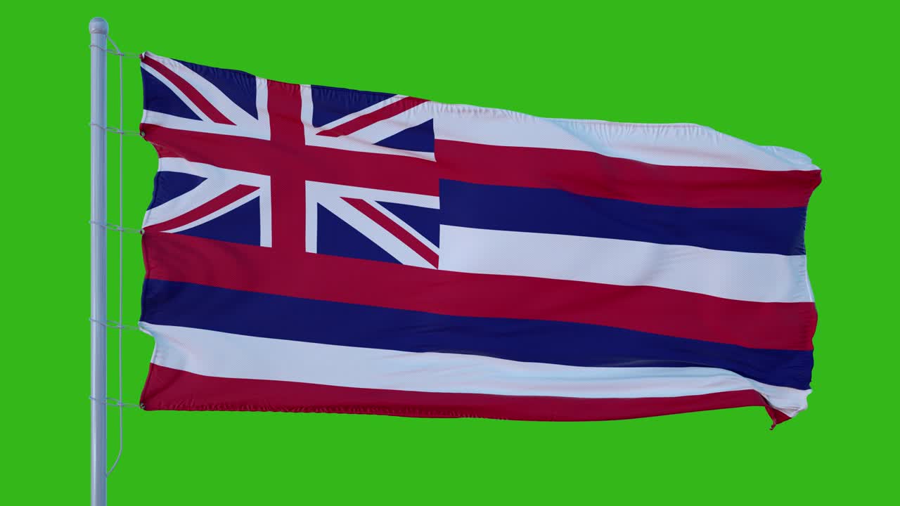 하와이 주의 발이 녹색 화면 배경에 바람에 흔들리고 있습니다.