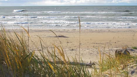 idyllic view of empty baltic sea coastline, dead grass in foreground, steep seashore dunes damaged by waves, white sand beach, coastal erosion, climate changes, medium shot