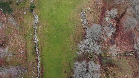 vista aérea cinematográfica del campo y el bosque, suecia, de arriba hacia abajo