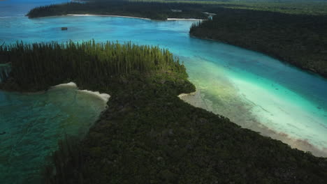 Aerial-tracking-shot-over-sunlit-tropical-island,-columnar-pine-trees,-Oro-Bay,-Isle-of-Pines