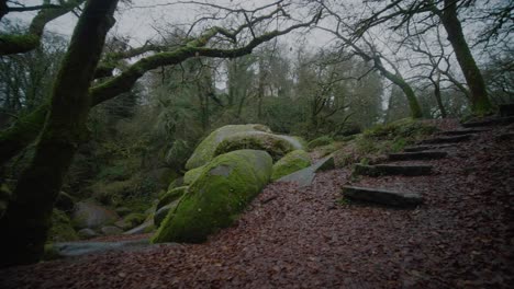 pov walking up stone steps in moss covered forest
