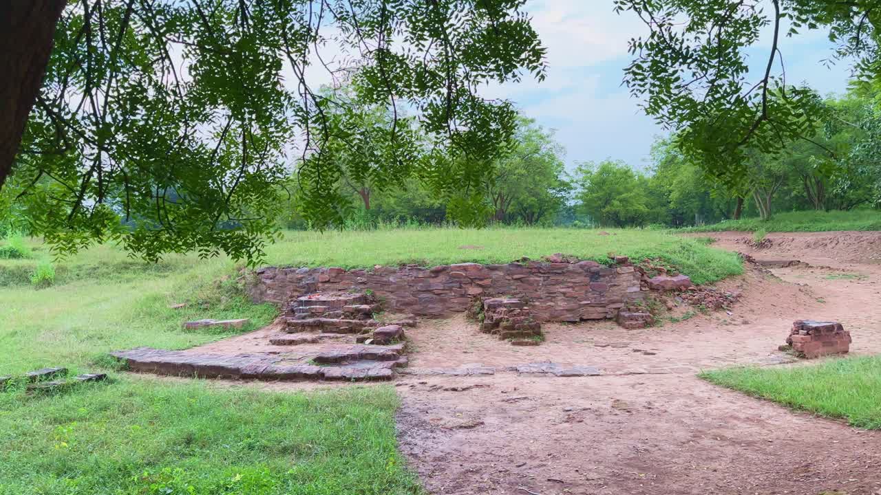 A smooth tracking shot of the Bharhut Stupa ruins framed by a neem tree in the foreground, creating a natural parallax effect that adds depth to this serene ancient archaeological landscape