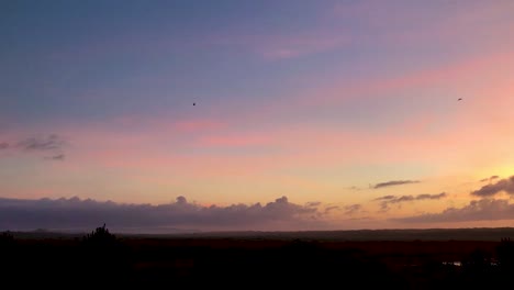 the silhouette of two birds flying across a sunset sky.