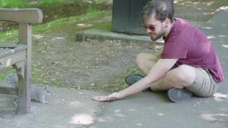 young man tries to tempt a squirrel to eat from his hand, slow motion