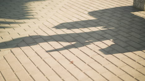 shadow of an individual seated on an interlocked path, reflecting their movements, the person is wearing grey joggers and white canvas shoes