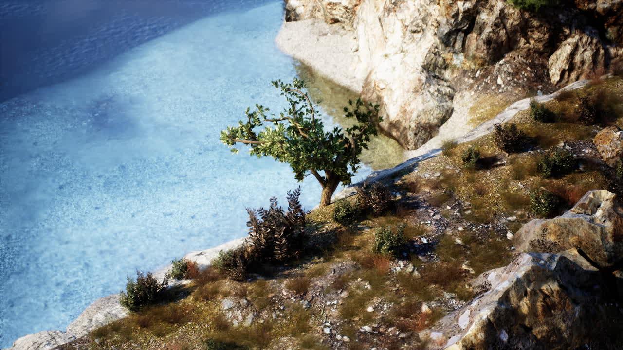 vista aérea de un acantilado con un árbol y agua