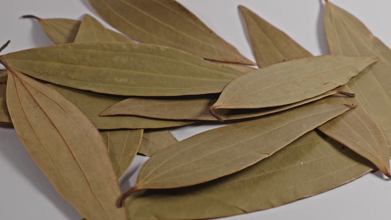 Bay leaf closeup, parallax shot, 4k.