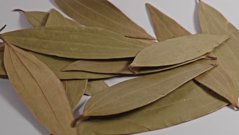bay leaf closeup, parallax shot, 4k.