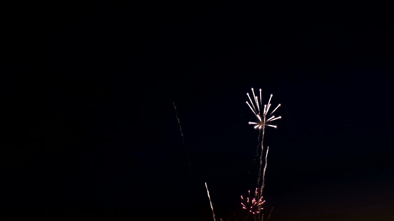 Fireworks on the city day holiday, big bursts of salute on the night sky