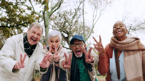 peace sign, park and face of senior people smile