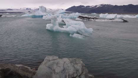 glacier lagoon in iceland with gimbal video tilting up from rocks