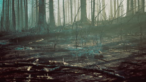 whispers of a forest recovering from the ashes of a devastating fire