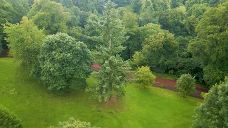 Drone-shot-pushing-forward-over-a-selection-of-Scottish-native-trees