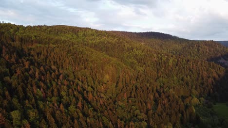 Vista-Aérea-De-Drones-De-Un-Espeso-Bosque-Verde-Al-Amanecer-Con-Cielo-Nublado