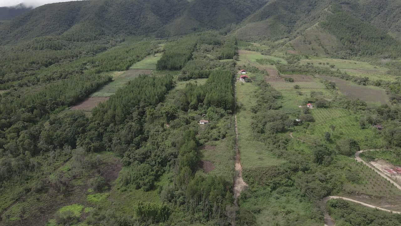 el avión no tripulado desciende a una granja en el valle verde y exuberante del centro de perú.