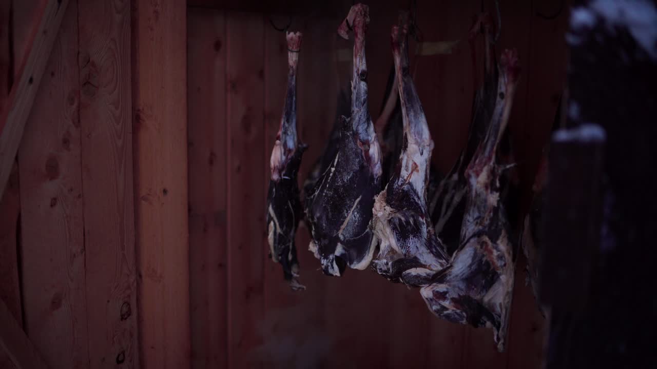 un hombre está inspeccionando el proceso de ahumado de carne de venado dentro del ahumadero en indre fosen, condado de trondelag, noruega - toma estática