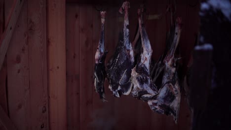 un hombre está inspeccionando el proceso de ahumado de carne de venado dentro del ahumadero en indre fosen, condado de trondelag, noruega - toma estática