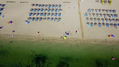 Tilting-drone-shot-of-Playa-del-Port-de-Pollenca,-showing-beach-umbrellas-lined-in-rows-where-beachgoers-are-sunbathing-in-the-island-of-Mallorca,-in-Spain