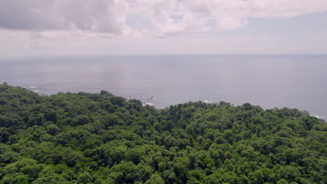 Rückzugsschuss-über-Weites-Land-Voller-Frischer-Bäume-Vor-Meereslandschaft,-Australien